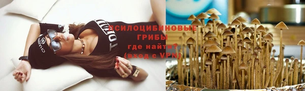 МДПВ Бугульма