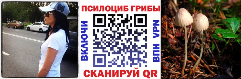 Галлюциногенные грибы Magic Shrooms blacksprut вход Новомичуринск