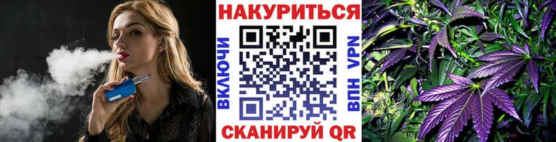 darknet какой сайт  Новомичуринск  Каннабис конопля  даркнет сайт 